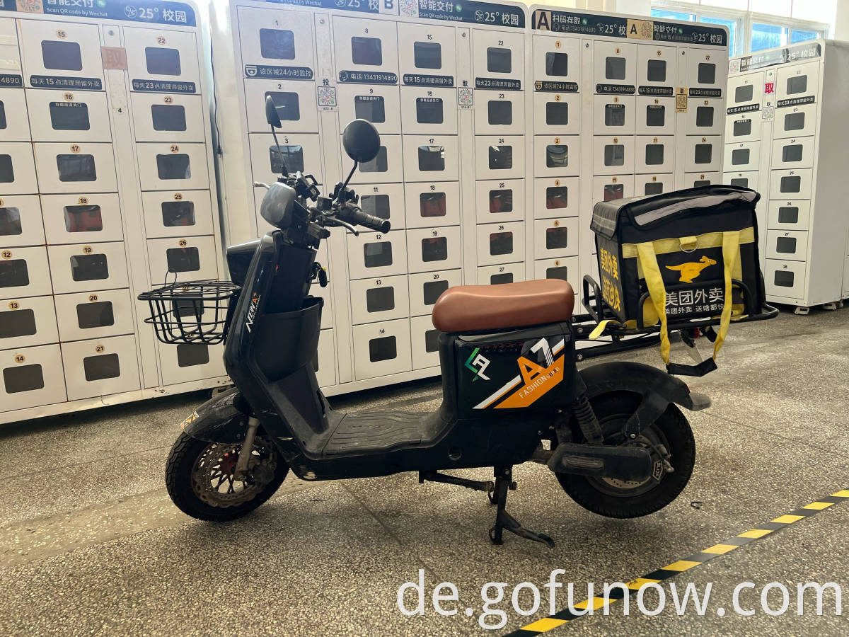 Gofunow Food Delivery Electric Bikes